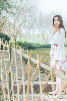 会动的H图片